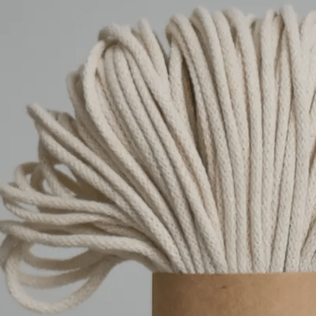 Wall Plant Pot Hanger