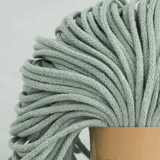 Wall Plant Pot Hanger