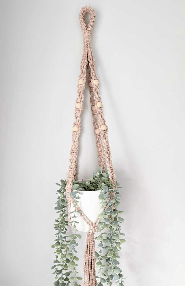 Plant Hanger