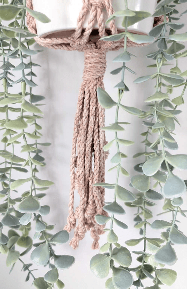 Plant Hanger