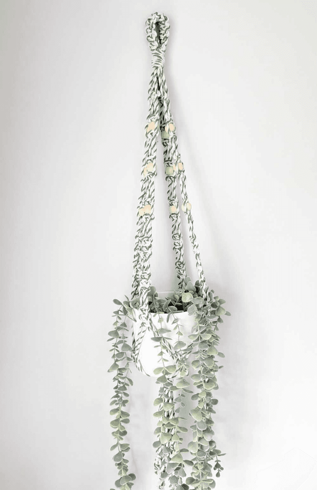 Plant Hanger