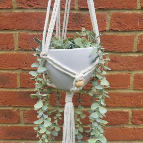Plant Hanger