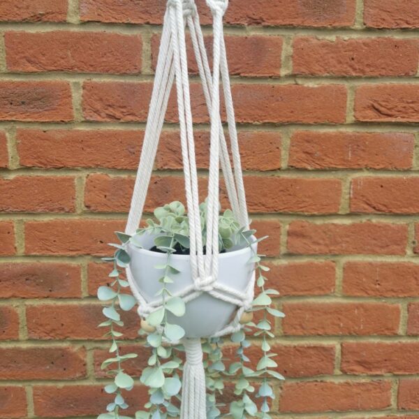 Long beaded macrame plant hanger